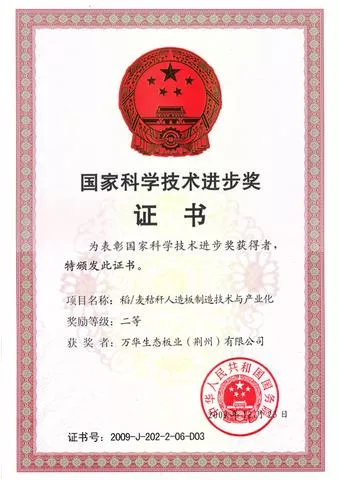 国家科学技术进步二等奖证书